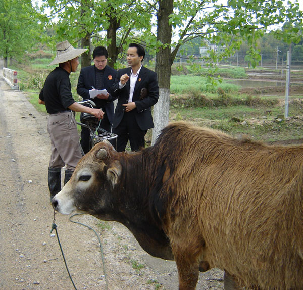DSC09862.JPG